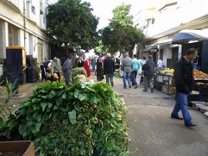 1472 rue joseph oliva 